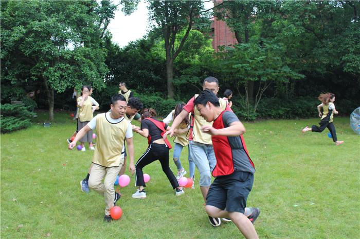 河南省委常委、副省长张敏一行到河南省洛阳正骨医院调研(图1)